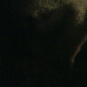 Meet your Posher, Isaiah